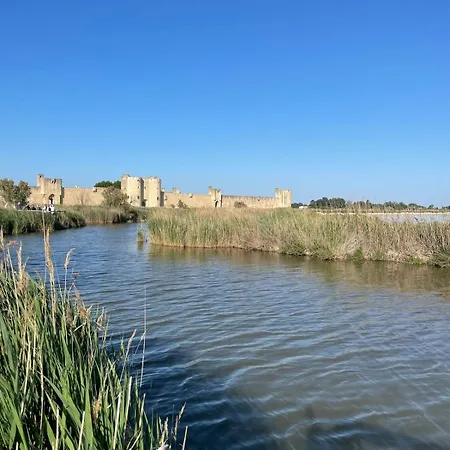Maison Avec Bassin Dans Les Remparts *